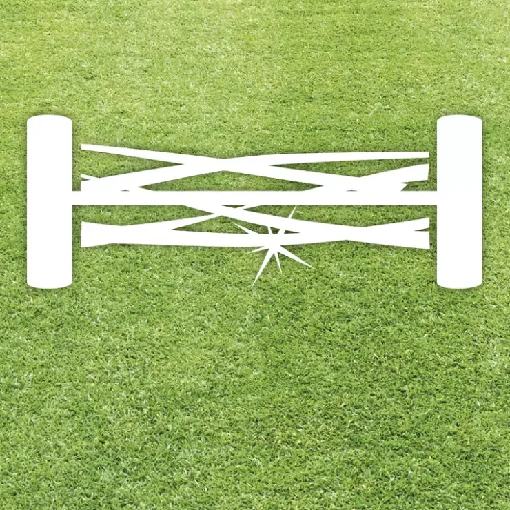 Best GC-HM 300 Hand Lawn Mowers